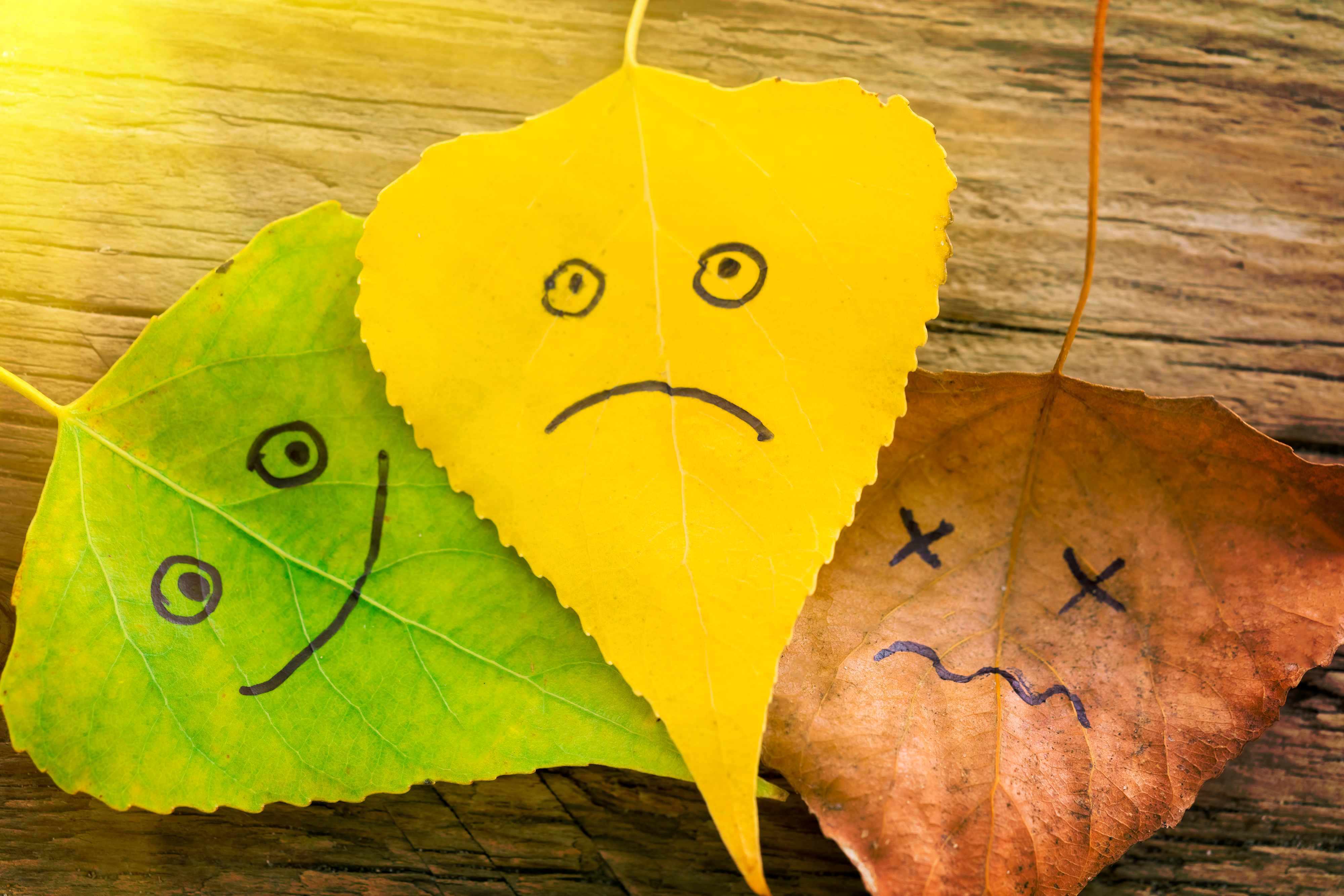 Польза плача для эмоционального здоровья